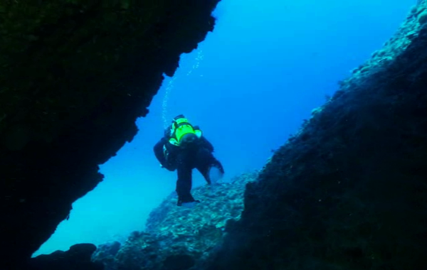 Immersioni