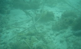 2006-comune-di-santantioco-ispezione-geologica-fondale5