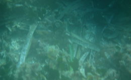 2006-comune-di-santantioco-ispezione-geologica-fondale8