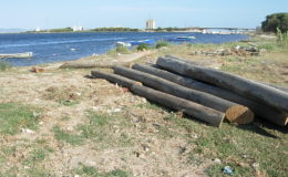 2010-operae-srl-infissione-pali-in-legno-per-pontili1