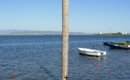 2010-operae-srl-infissione-pali-in-legno-per-pontili19