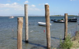 2010-operae-srl-infissione-pali-in-legno-per-pontili23