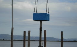 2010-operae-srl-infissione-pali-in-legno-per-pontili25