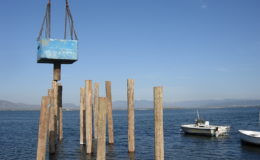 2010-operae-srl-infissione-pali-in-legno-per-pontili26