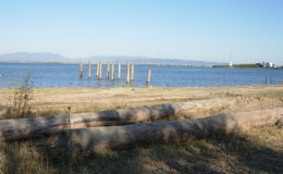 2010-operae-srl-infissione-pali-in-legno-per-pontili3