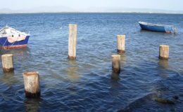 2010-operae-srl-infissione-pali-in-legno-per-pontili36