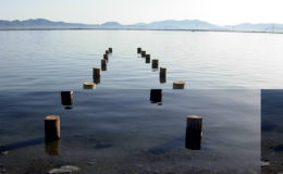 2010-operae-srl-infissione-pali-in-legno-per-pontili38