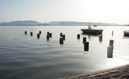 2010-operae-srl-infissione-pali-in-legno-per-pontili39
