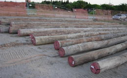 2010-operae-srl-infissione-pali-in-legno-per-pontili4