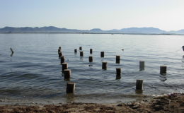 2010-operae-srl-infissione-pali-in-legno-per-pontili40