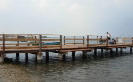 2010-operae-srl-infissione-pali-in-legno-per-pontili46