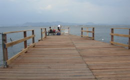 2010-operae-srl-infissione-pali-in-legno-per-pontili50