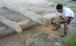2010-operae-srl-infissione-pali-in-legno-per-pontili7
