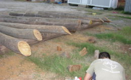 2010-operae-srl-infissione-pali-in-legno-per-pontili8