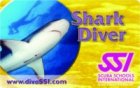 shark-diver